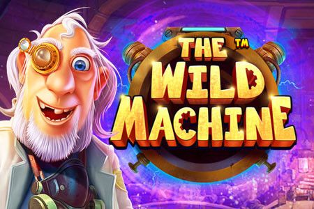 The Wild Machine