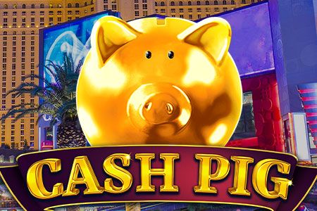 Cash Pig
