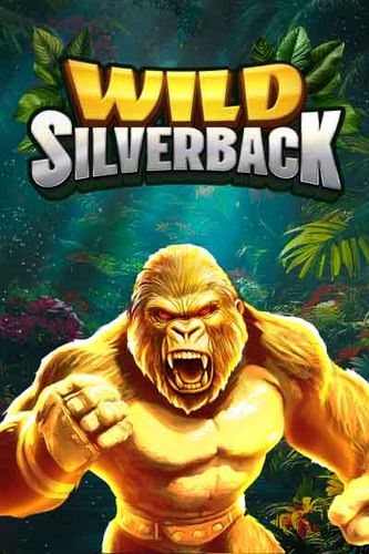 Wild Silverback
